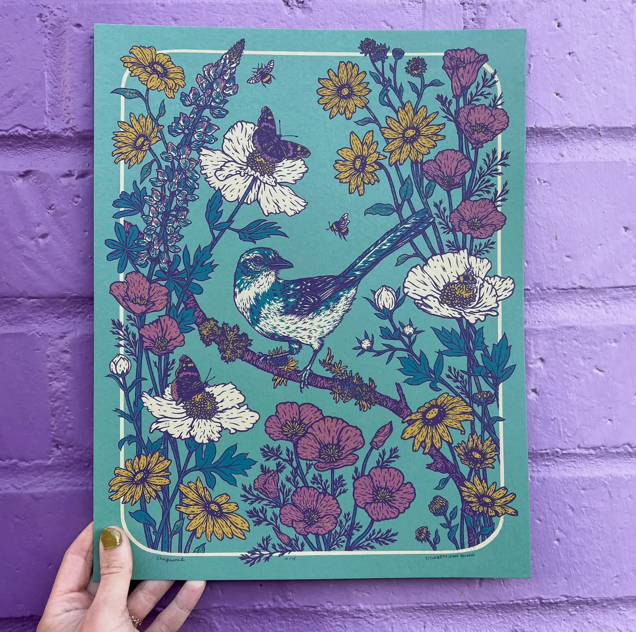 Scrub Jay Print