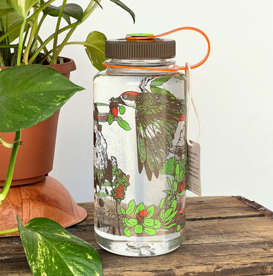 Flora & Fauna Water Bottles