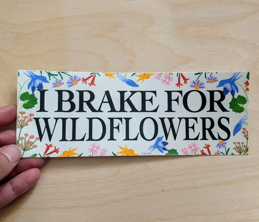 Wildflowers Bumper Sticker
