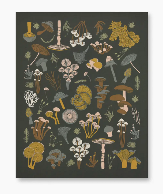 Mosses + Mushrooms Print