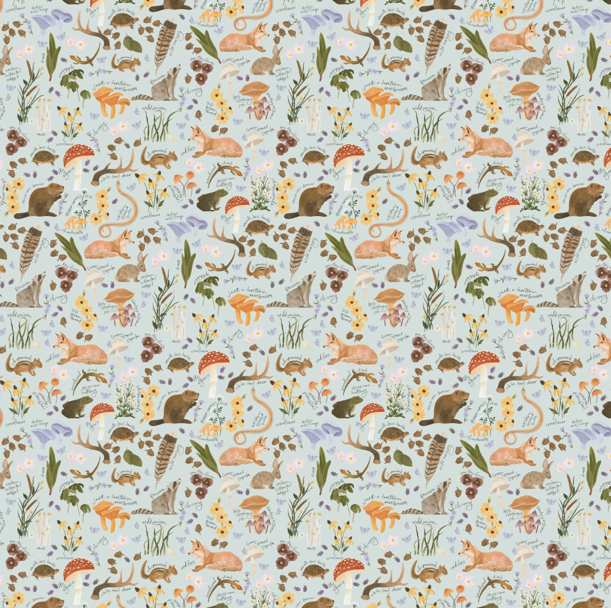 Swaddle Blankets