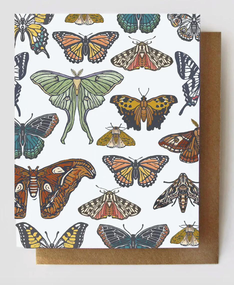 Butterfly & Moth Card Set