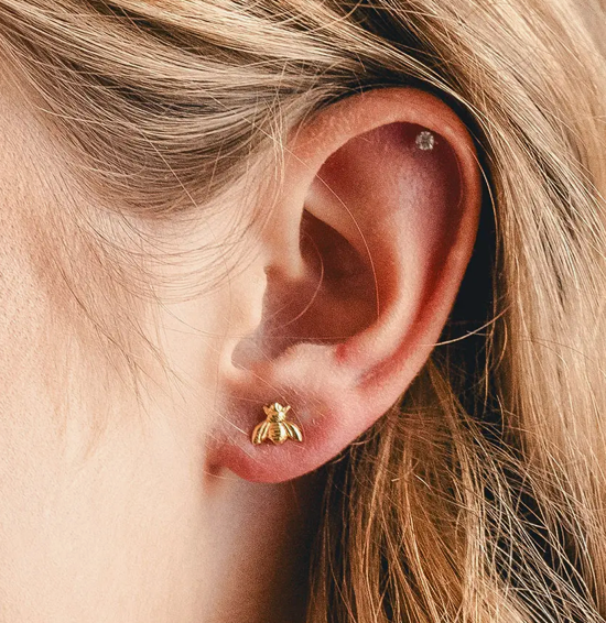 Honeybee Studs