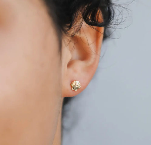 Seashell Studs