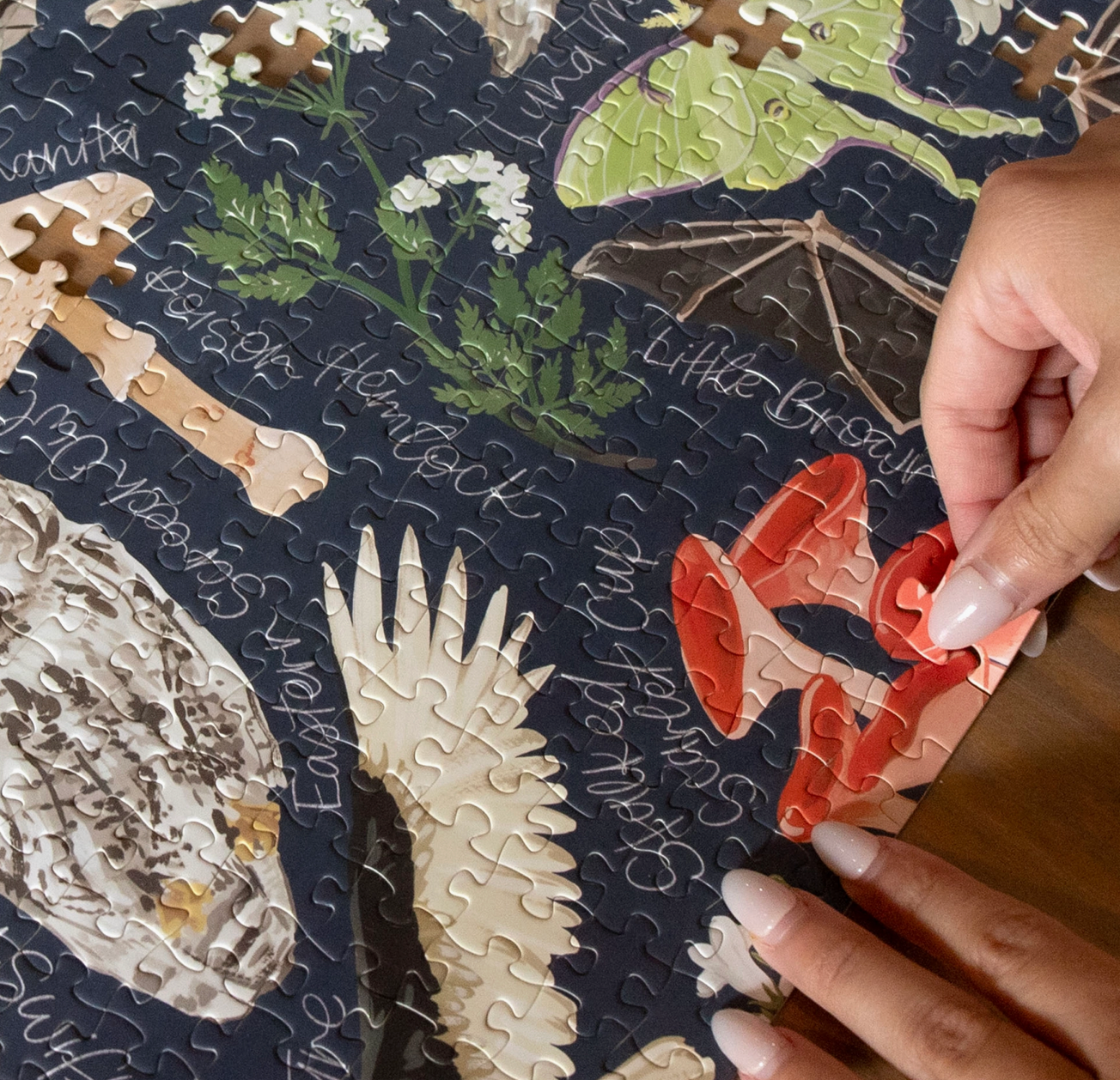 Midnight Flora & Fauna Puzzle