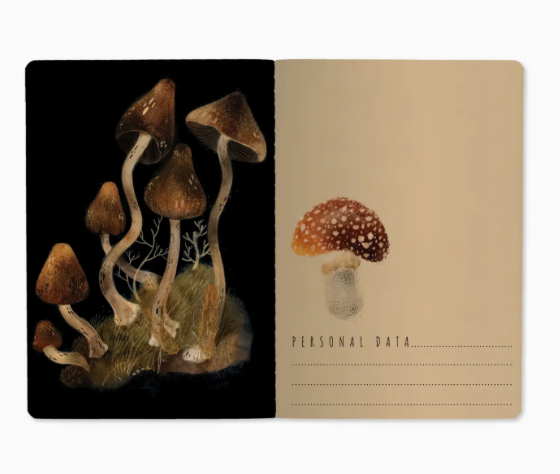 Butterfly Forest Notebook Set