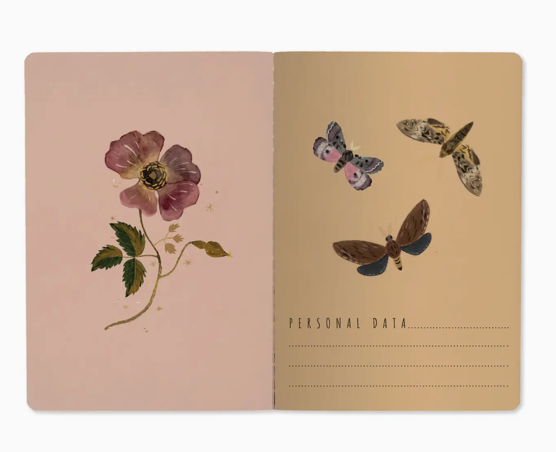 Peonies & Butterflies Notebook Set