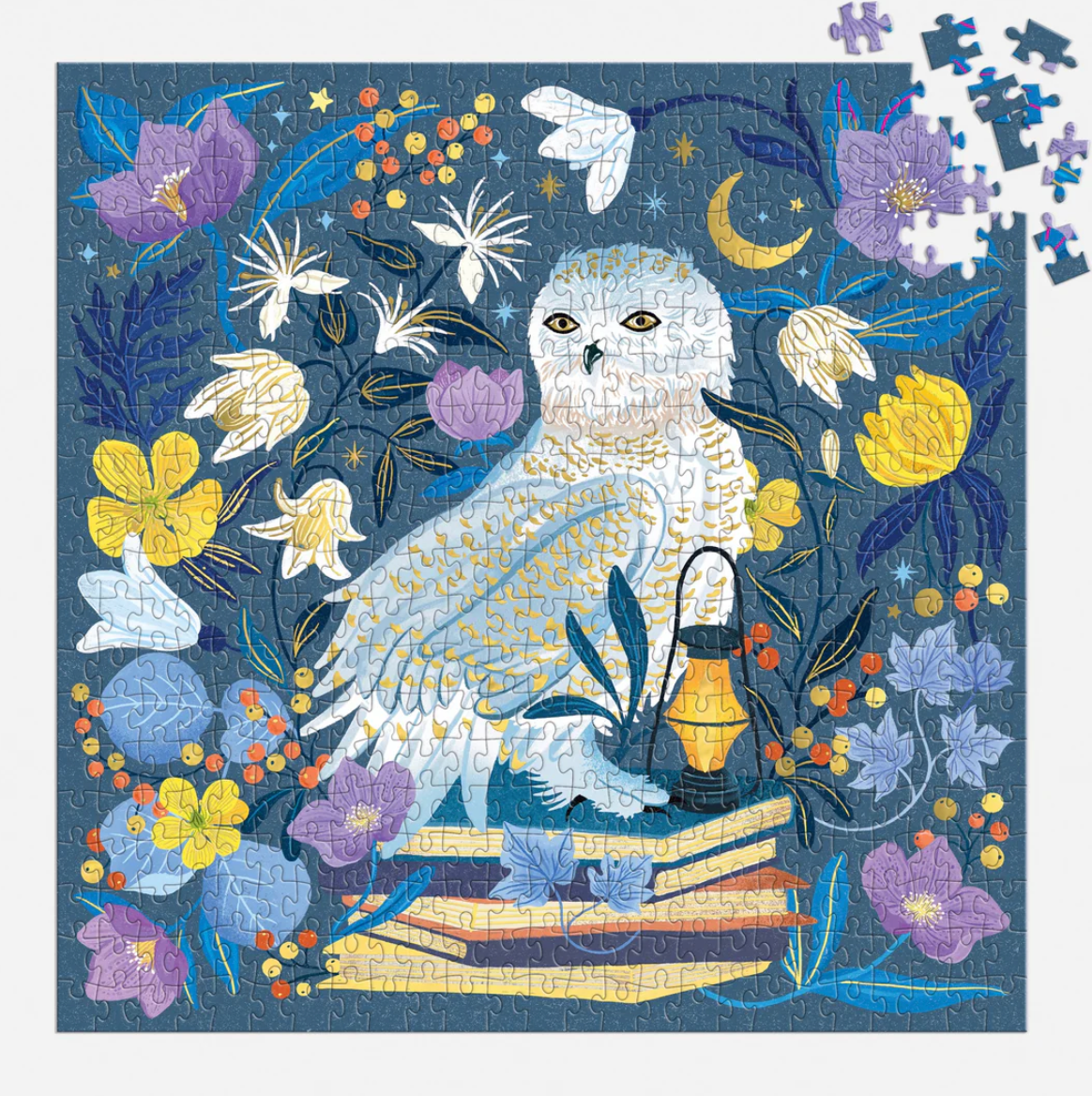 Celestial Owl Puzzle