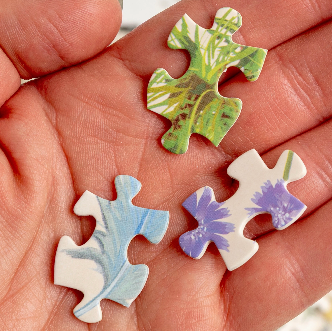 Feathered Friends Puzzle