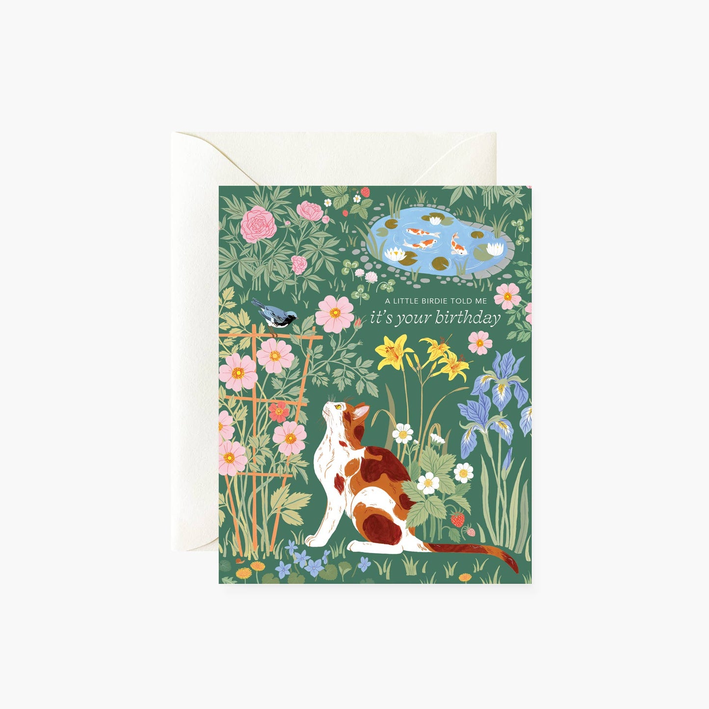 A Little Birdie Birthday Card