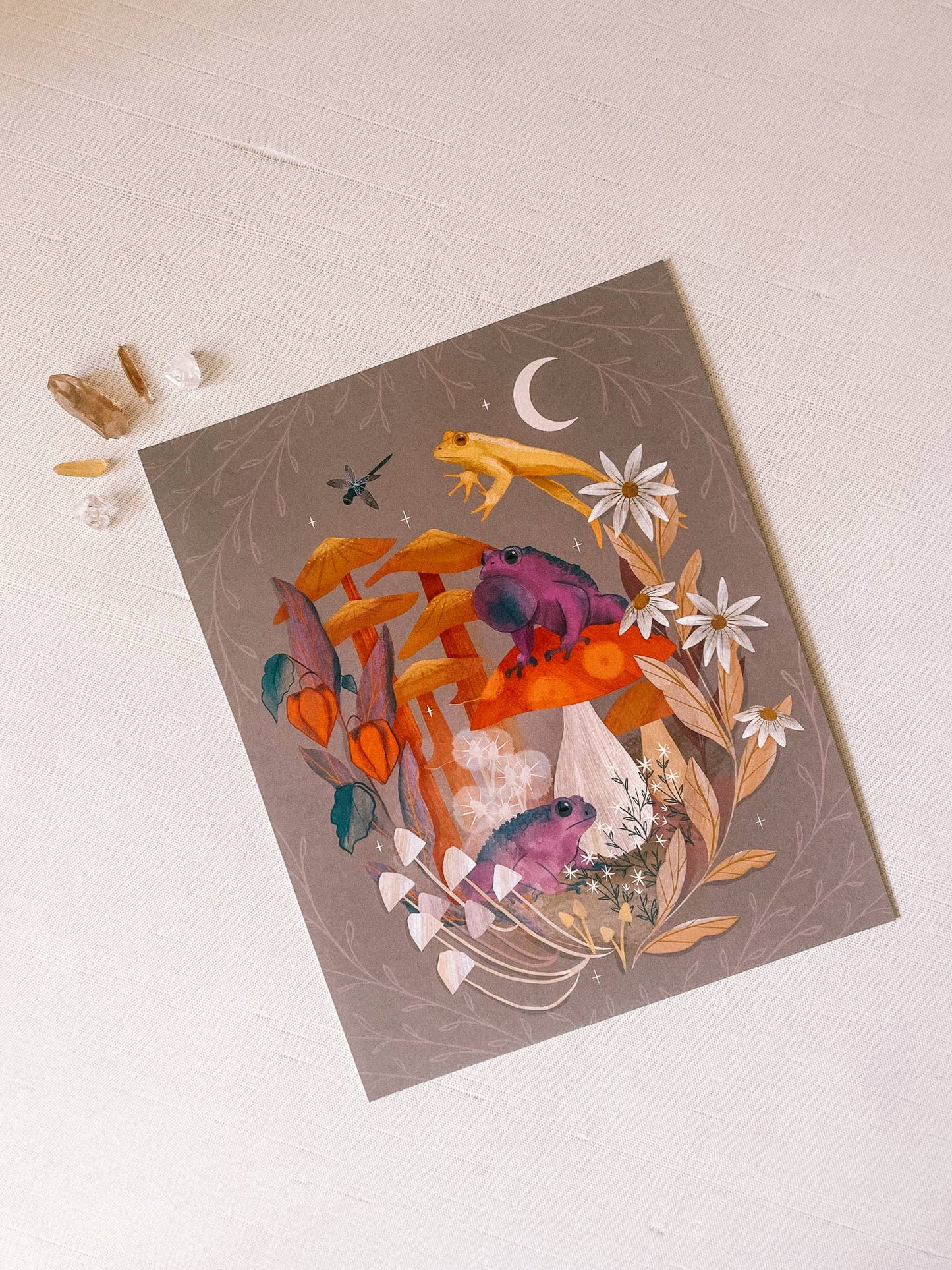 Mushrooms & Toads Print