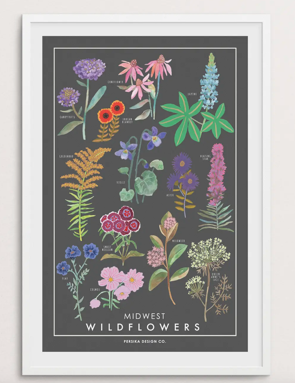 Midwest Wildflowers Art Print