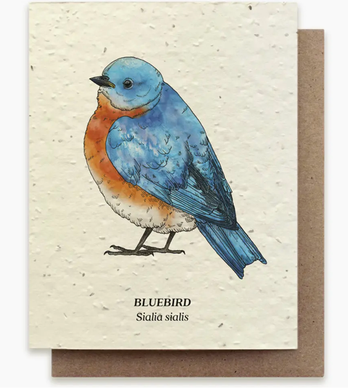 Bluebird Plantable Wildflower Seed Card