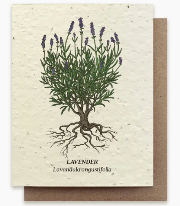 Lavender Plantable Seed Card