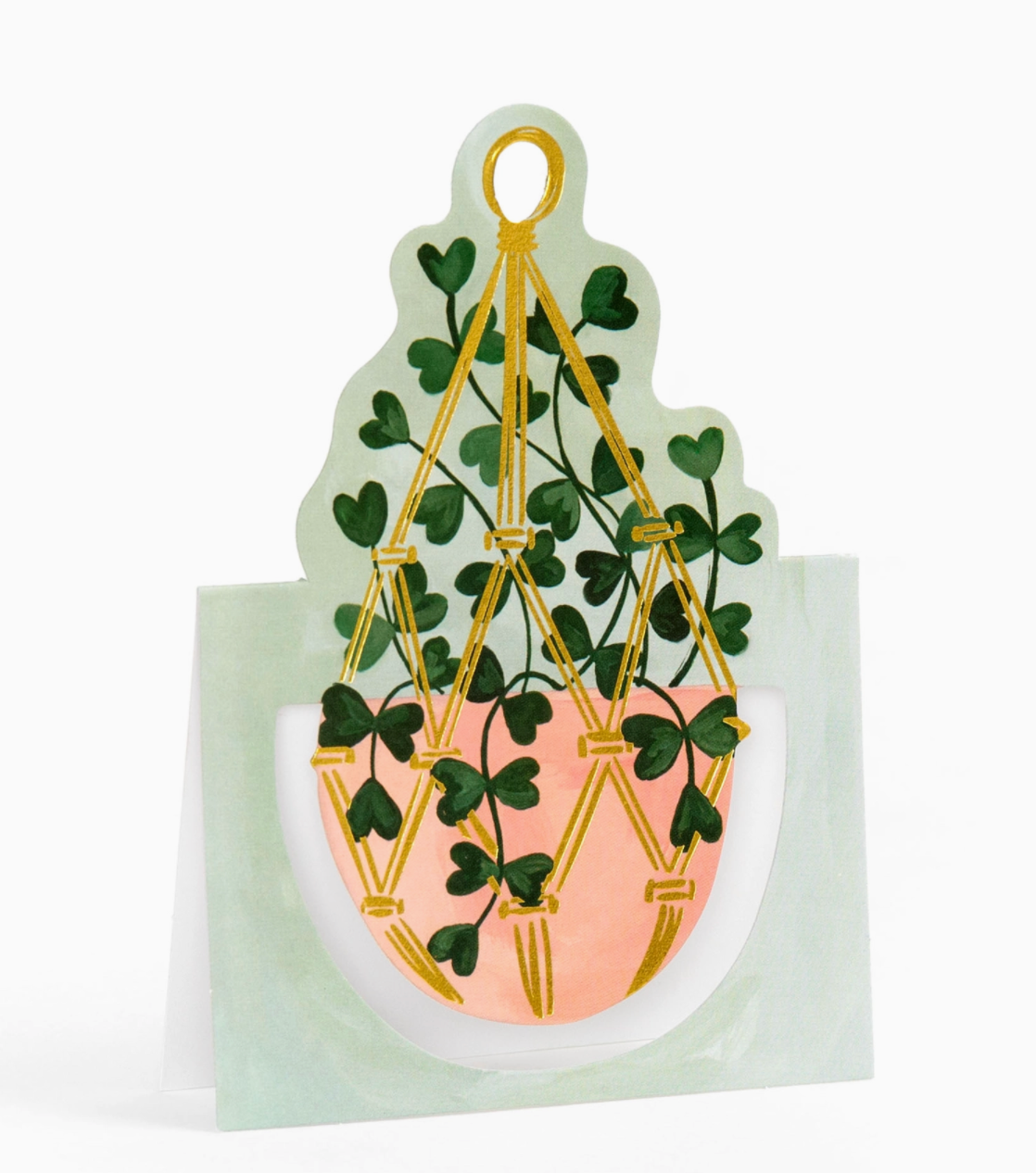 Plants Pop-Up Card Set