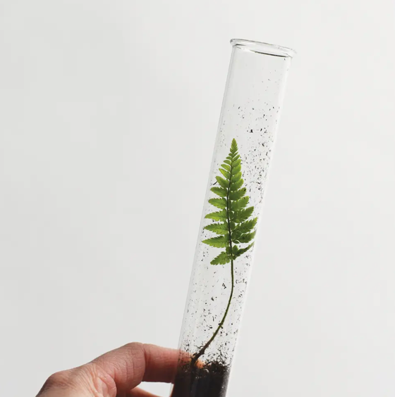 Terrarium Pencil Sets