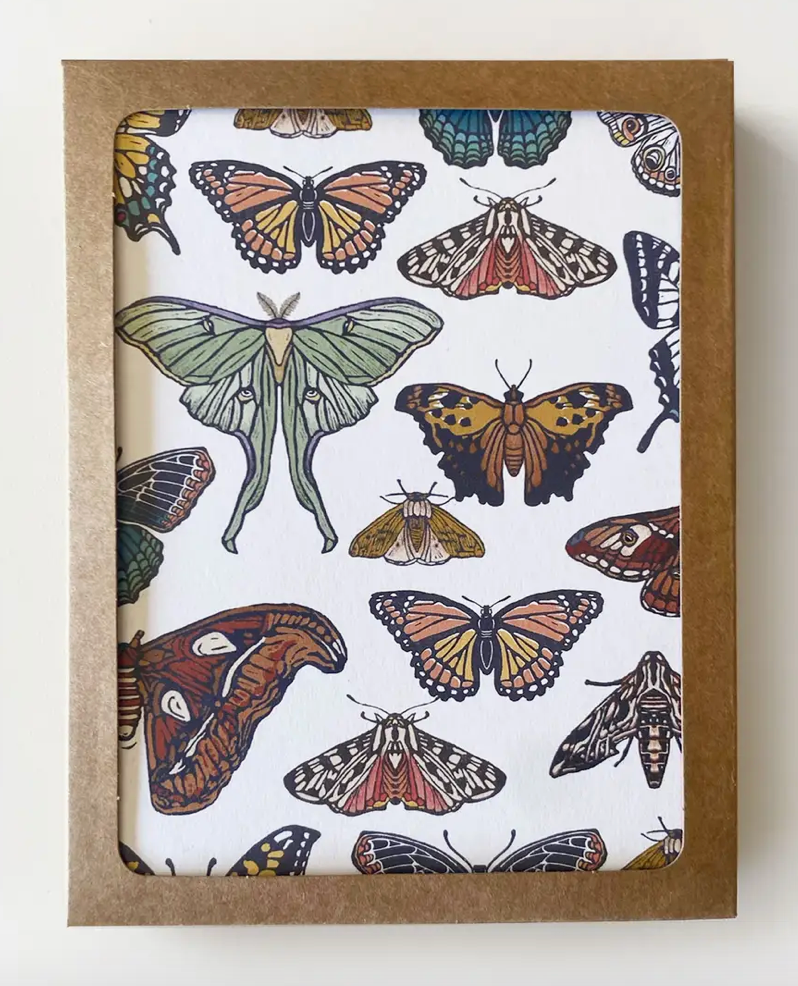 Butterfly & Moth Card Set