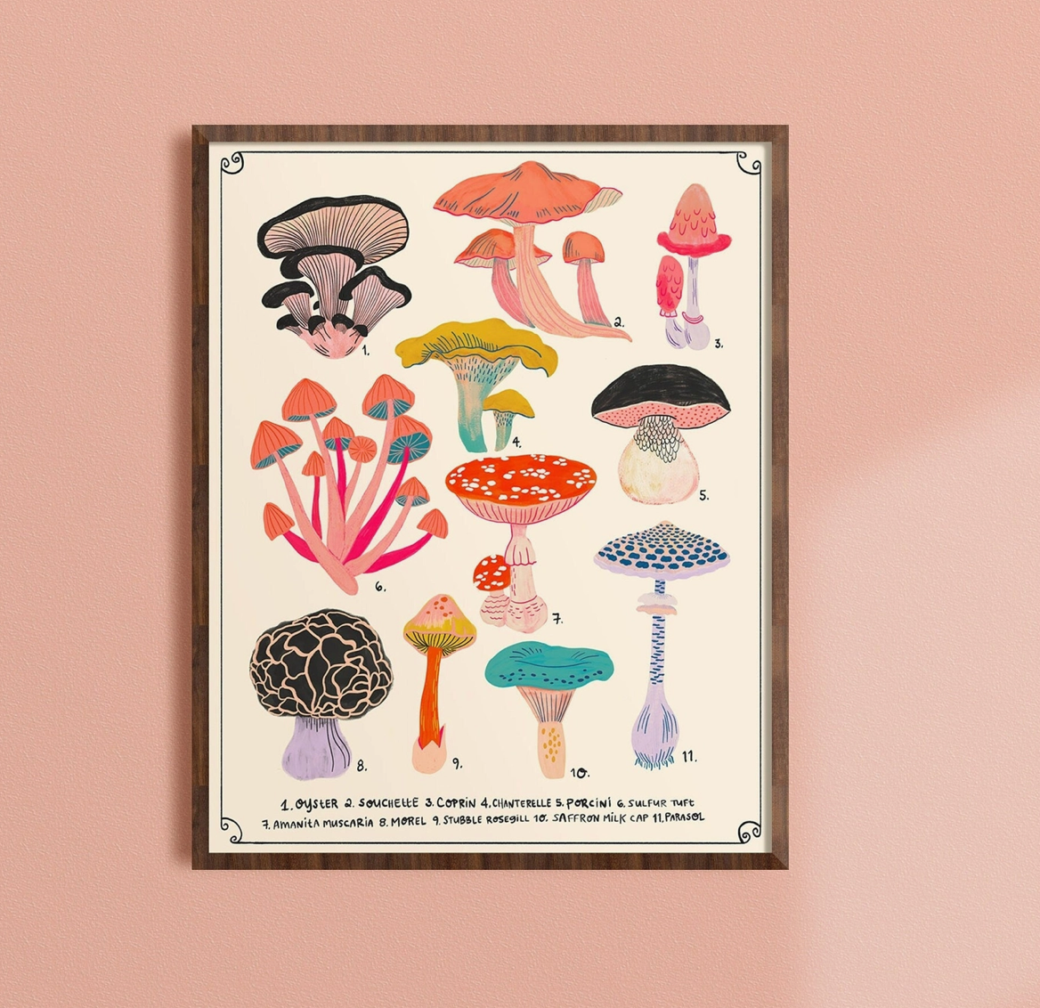 Types of Mushrooms Print