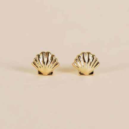 Seashell Studs