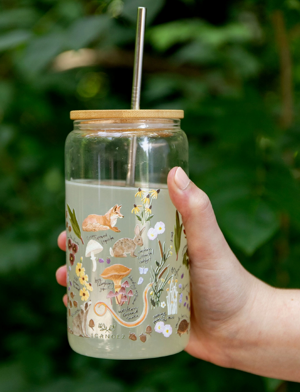 Flora & Fauna Can Glass