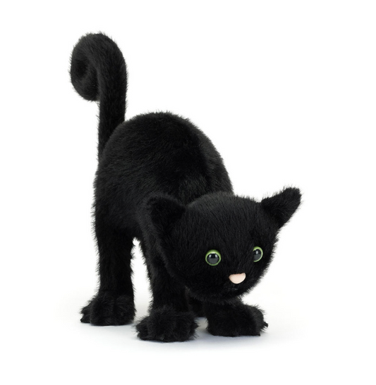 Spookipaws Cat