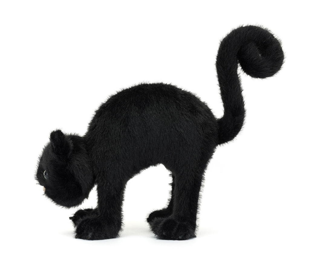 Spookipaws Cat