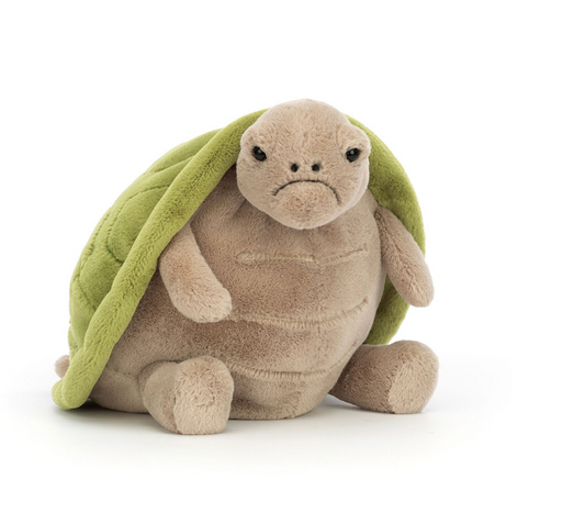 Grumply Turtle Plush
