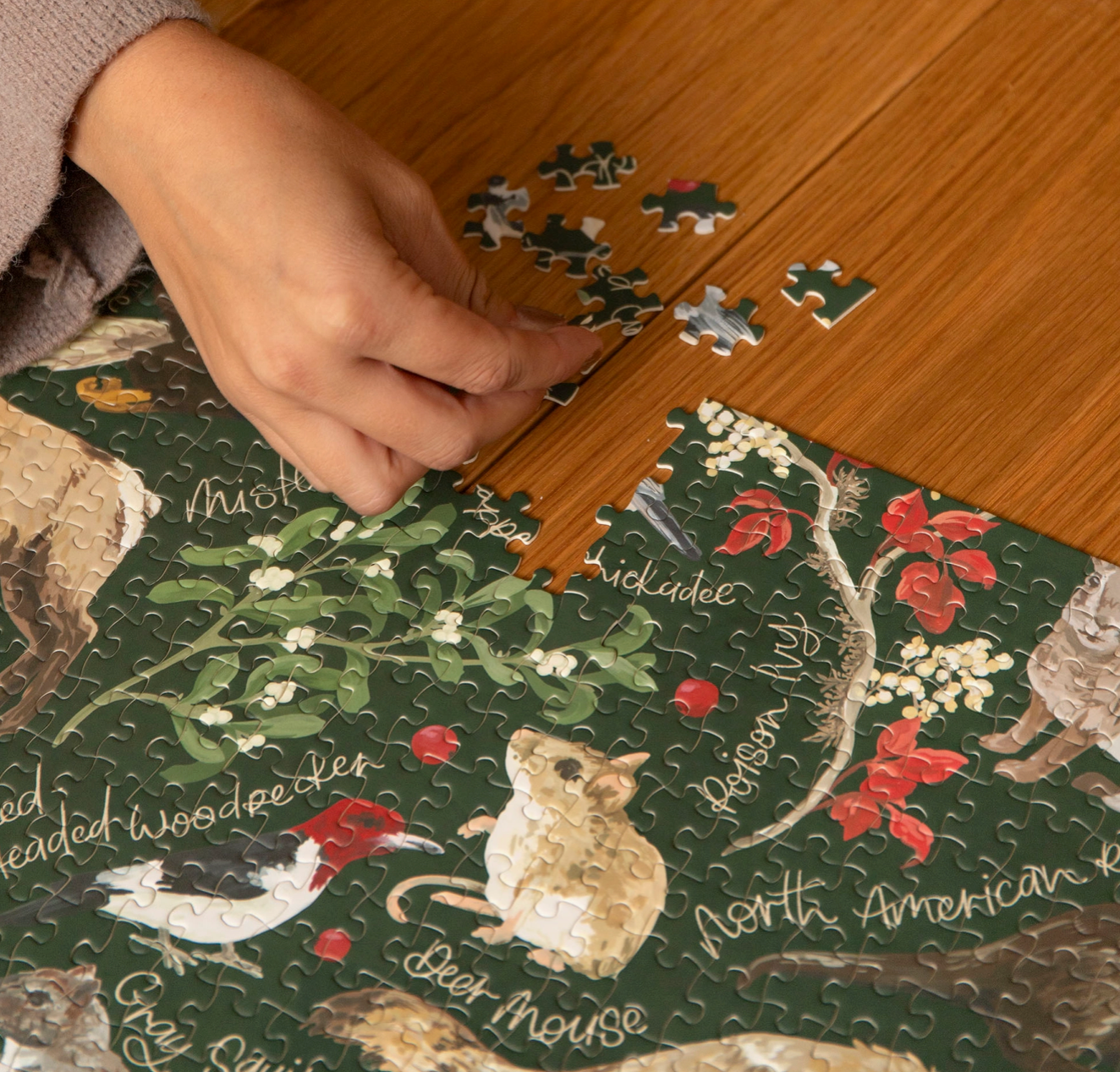 Winter Flora & Fauna Puzzle