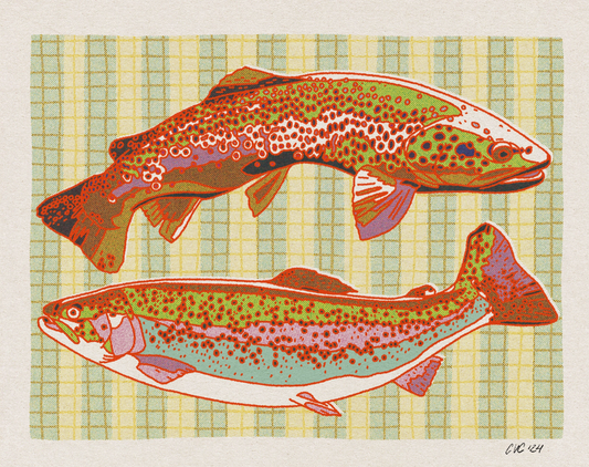 Striped Trout Print