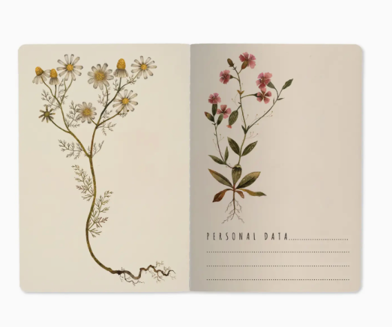 Violet Blooms Notebook Set
