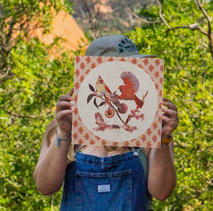 Northern Cardinal Print