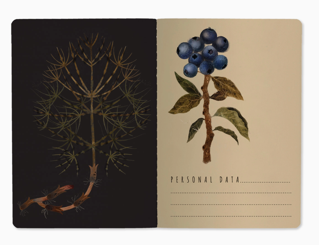 Forage Forest Notebook Set