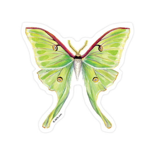 Butterfly Stickers