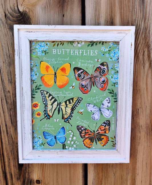 Butterfly ID Chart Print