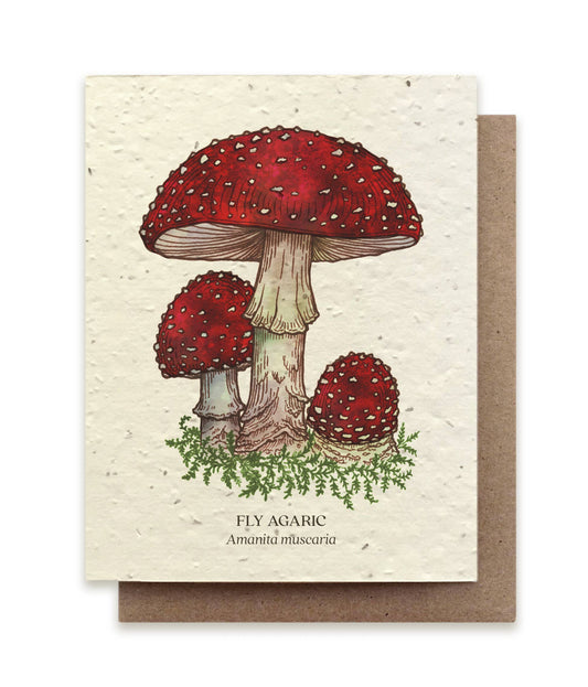 Fly Agaric Mushroom Plantable Wildflower Seed Card